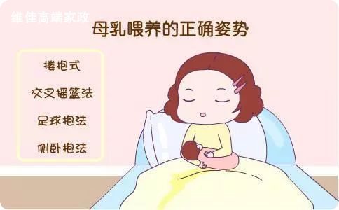 北京正規的月嫂公司